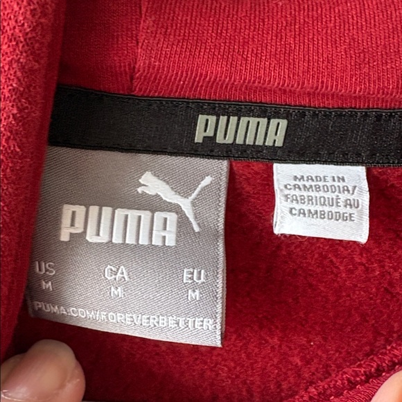 Puma Men's Bold Red Hoodie - Picture 2 of 6